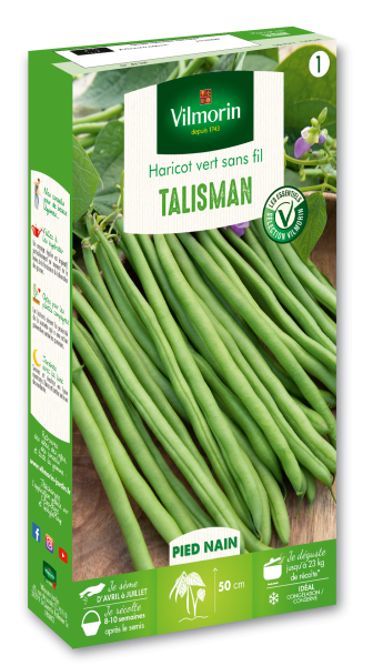 Légumes Secs - Haricot Nain Vert Talisman - face recto